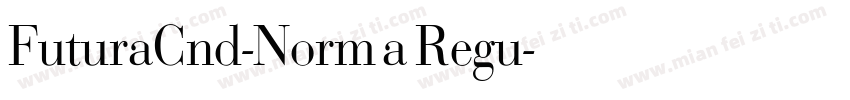 FuturaCnd-Norma Regu字体转换